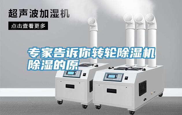 專家告訴你轉輪91看片软件大全除濕的原