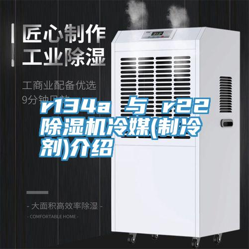 r134a 與 r2291看片软件大全冷媒(製冷劑)介紹