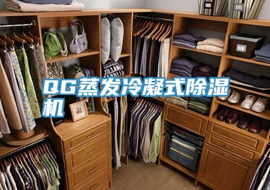 QG蒸發冷凝式91看片软件大全