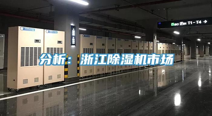 分析：浙江91看片软件大全市場