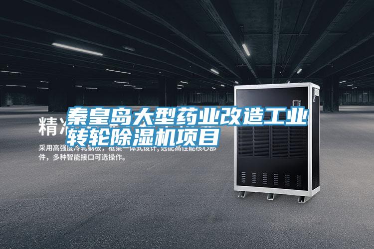 秦皇島大型藥業改造工業轉輪91看片软件大全項目