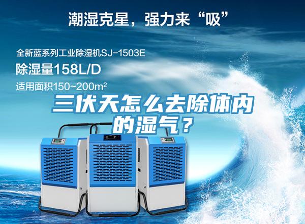 三伏天怎麽去除體內的濕氣？