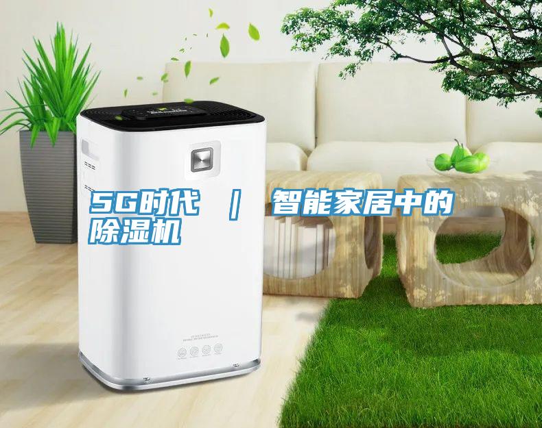 5G時代 ｜ 智能家居中的91看片软件大全