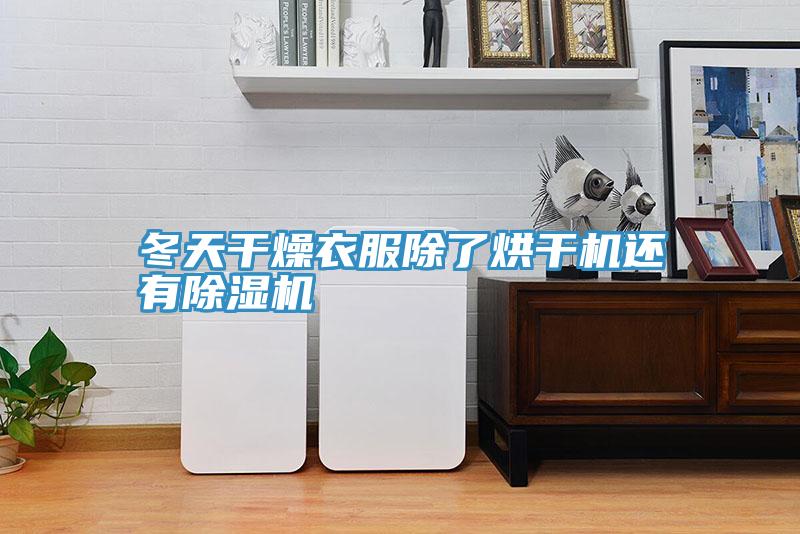 冬天幹燥衣服除了烘幹機還有91看片软件大全