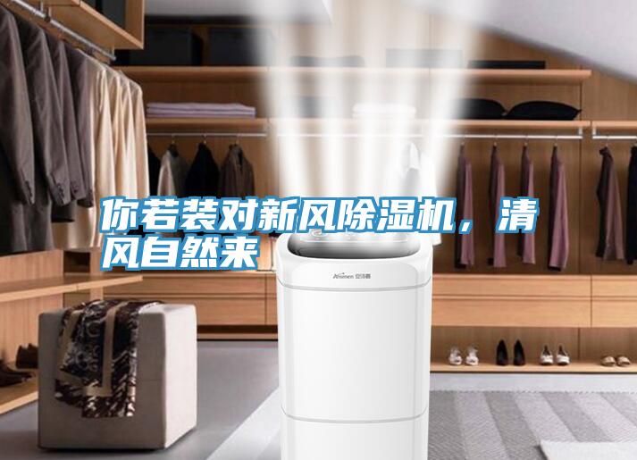 你若裝對新風91看片软件大全，清風自然來