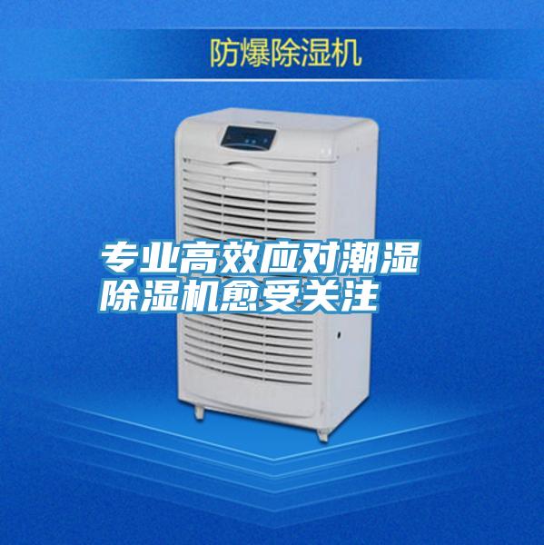 專業高效應對潮濕 91看片软件大全愈受關注