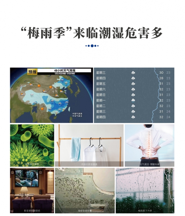分析轉輪91看片软件大全