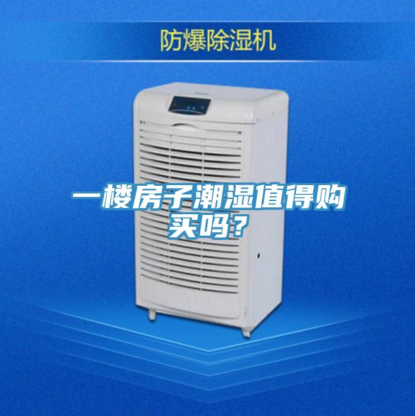 一樓房子潮濕值得購買嗎？