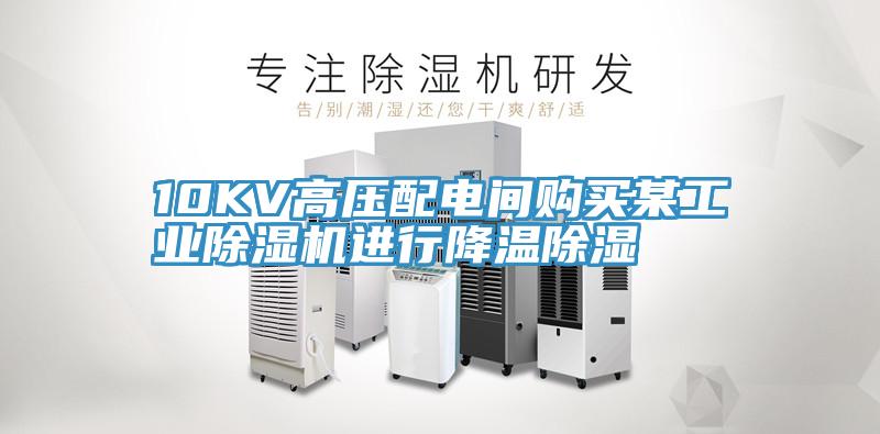 10KV高壓配電間購買某工業91看片软件大全進行降溫除濕
