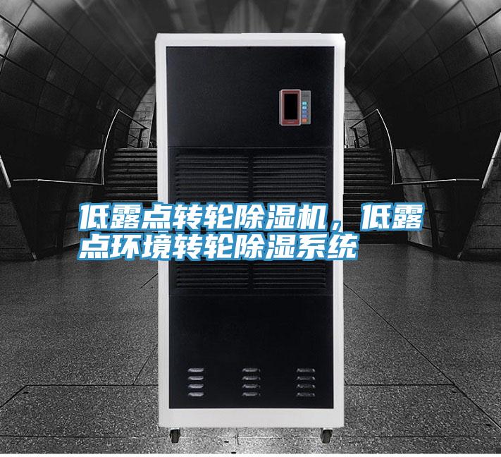 低露點轉輪91看片软件大全，低露點環境轉輪除濕係統