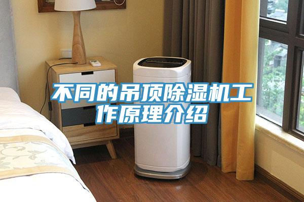 不同的吊頂91看片软件大全工作原理介紹
