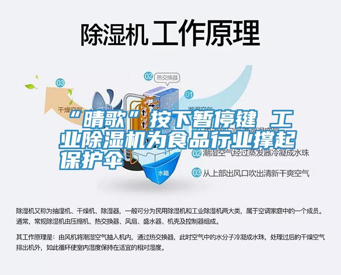 “晴歌”按下暫停鍵 工業91看片软件大全為食品行業撐起保護傘
