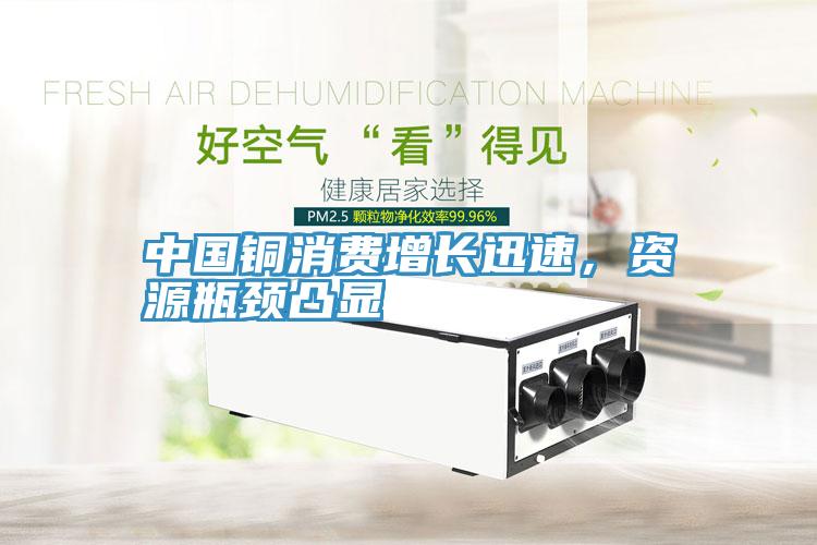 中國銅消費增長迅速，資源瓶頸凸顯