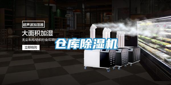 倉庫91看片软件大全