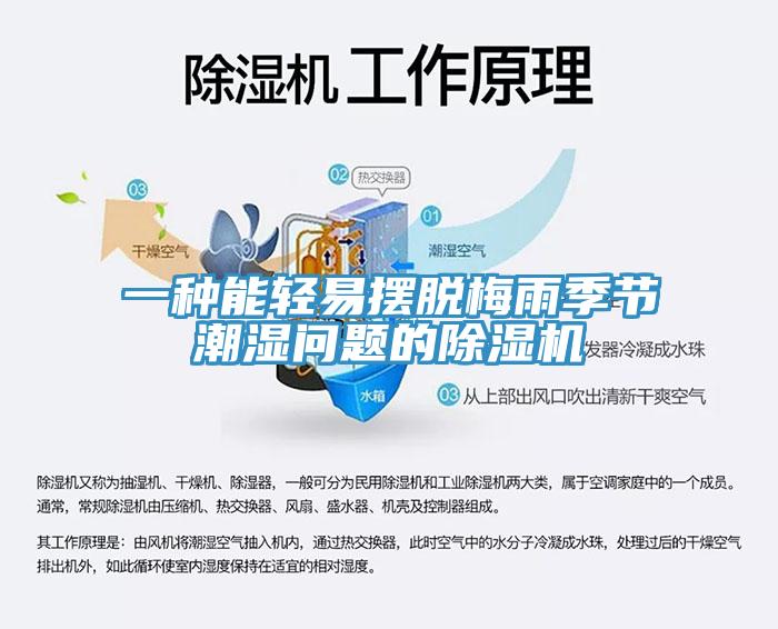 一種能輕易擺脫梅雨季節潮濕問題的91看片软件大全