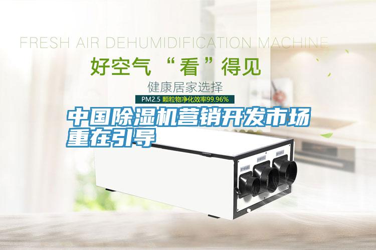 中國91看片软件大全營銷開發市場重在引導