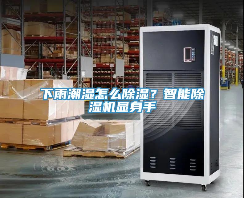 下雨潮濕怎麽除濕？智能91看片软件大全顯身手