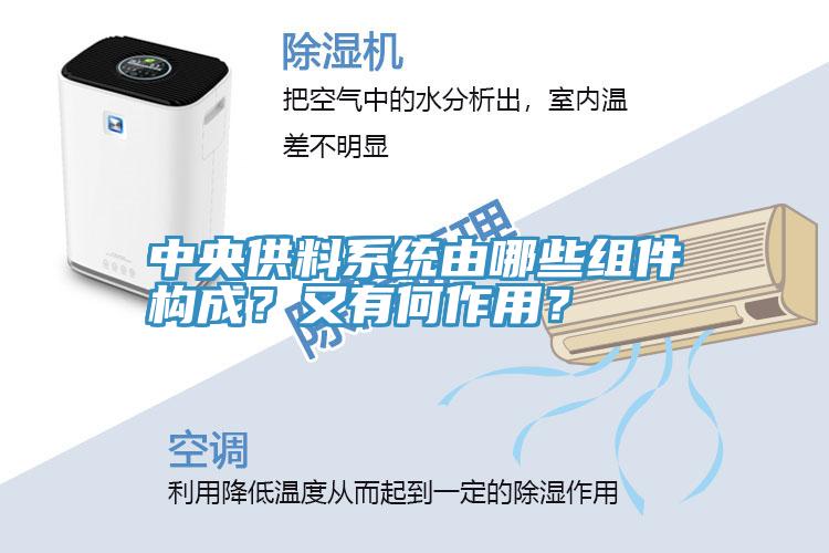 中央供料係統由哪些組件構成？又有何作用？