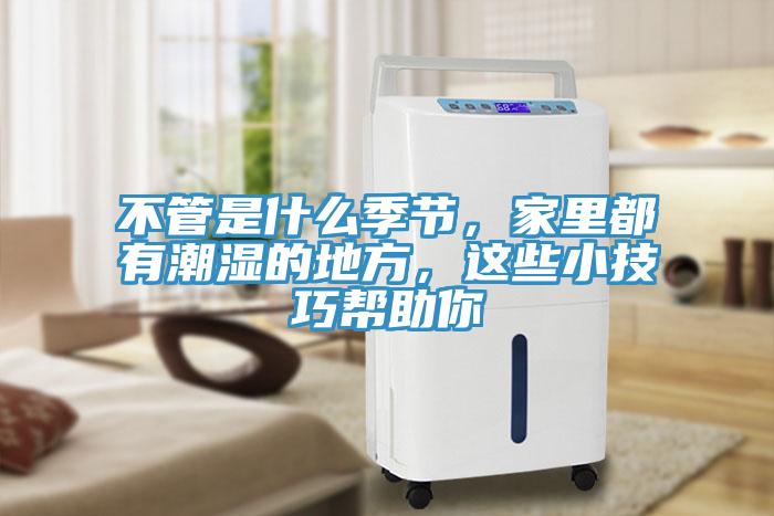 不管是什麽季節，家裏都有潮濕的地方，這些小技巧幫助你