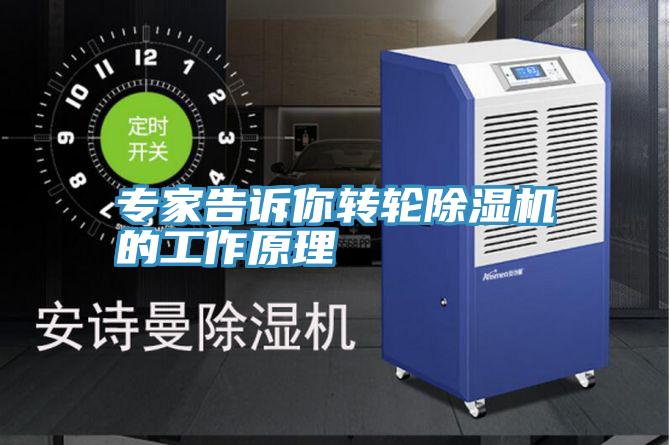 專家告訴你轉輪91看片软件大全的工作原理