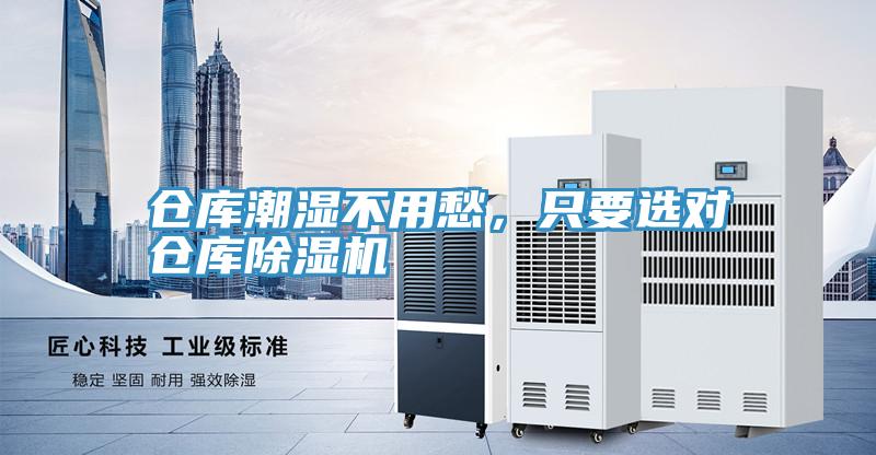 倉庫潮濕不用愁，隻要選對倉庫91看片软件大全