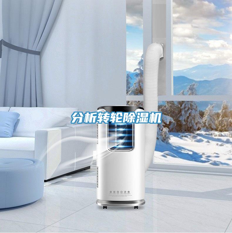 分析轉輪91看片软件大全