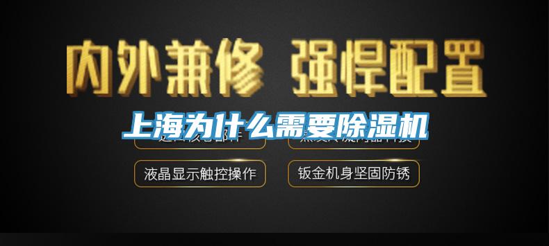 上海為什麽需要91看片软件大全