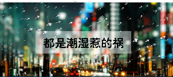 防潮91看片软件大全