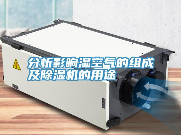 分析影響濕空氣的組成及91看片软件大全的用途