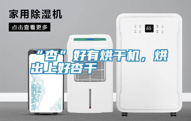 “杏”好有烘幹機，烘出上好杏幹