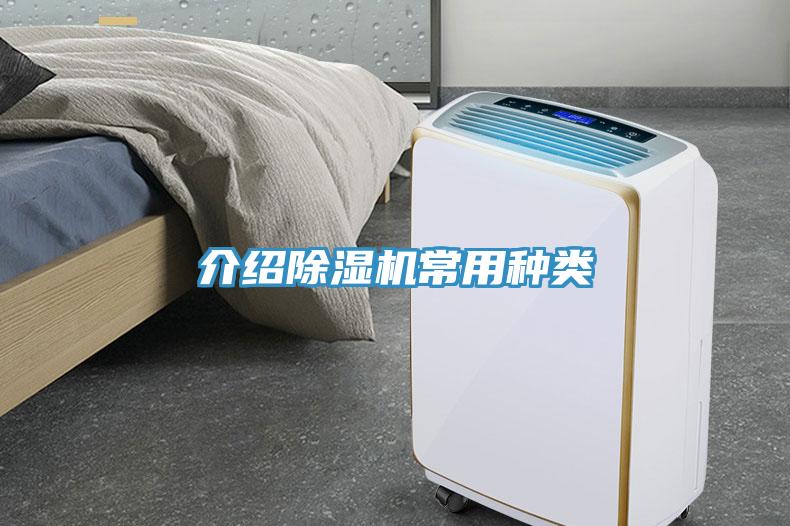 介紹91看片软件大全常用種類