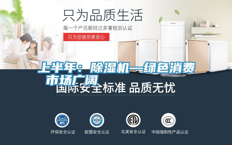 上半年：91看片软件大全—綠色消費 市場廣闊
