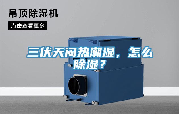 三伏天悶熱潮濕，怎麽除濕？