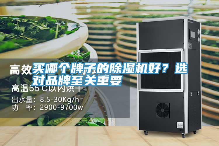 買哪個牌子的91看片软件大全好？選對品牌至關重要