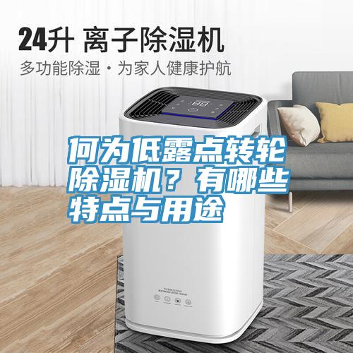 何為低露點轉輪91看片软件大全？有哪些特點與用途