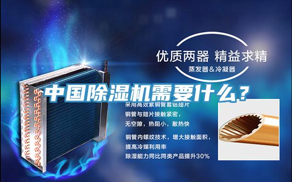 中國91看片软件大全需要什麽？