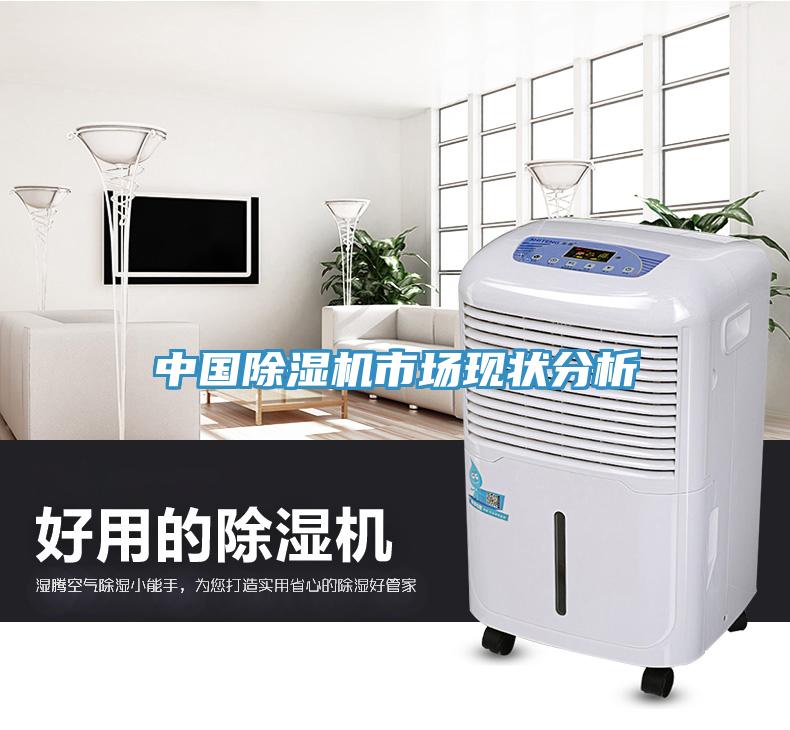 中國91看片软件大全市場現狀分析