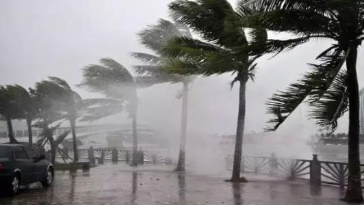 8月台風雨即將來，91看片软件大全還得用起來