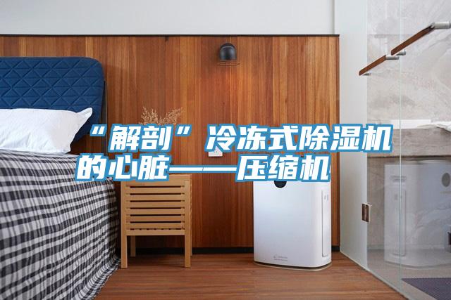 “解剖”冷凍式91看片软件大全的心髒——壓縮機