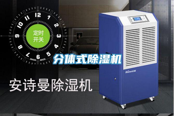 分體式91看片软件大全