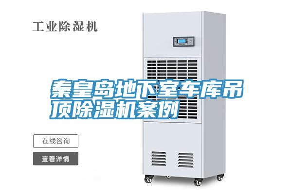 秦皇島地下室車庫吊頂91看片软件大全案例