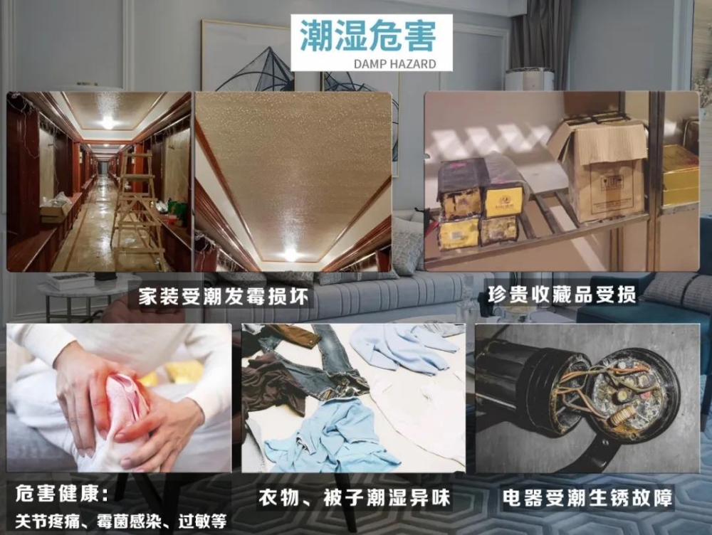91看片软件大全
