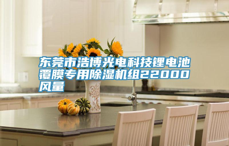 東莞市浩博光電科技鋰電池覆膜專用91看片软件大全組22000風量