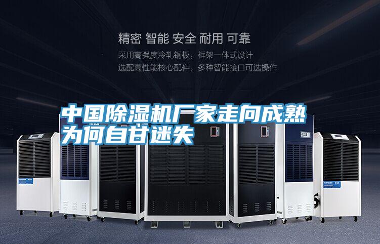 中國91看片软件大全廠家走向成熟 為何自甘迷失
