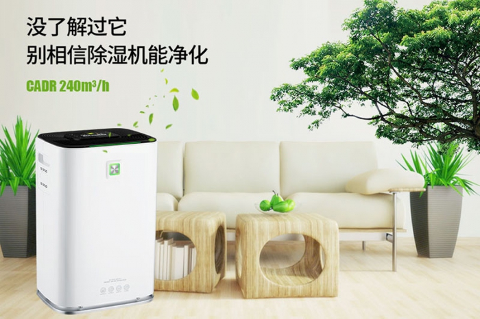 一到回南天狗狗就感冒+皮膚病，怎麽辦？
