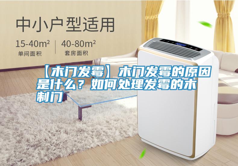 【木門發黴】木門發黴的原因是什麽？如何處理發黴的木製門