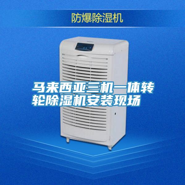 馬來西亞三機一體轉輪91看片软件大全安裝現場
