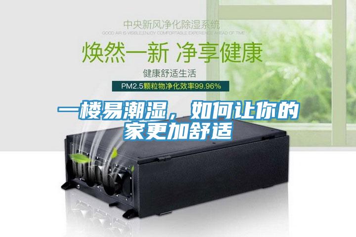 一樓易潮濕，如何讓你的家更加舒適