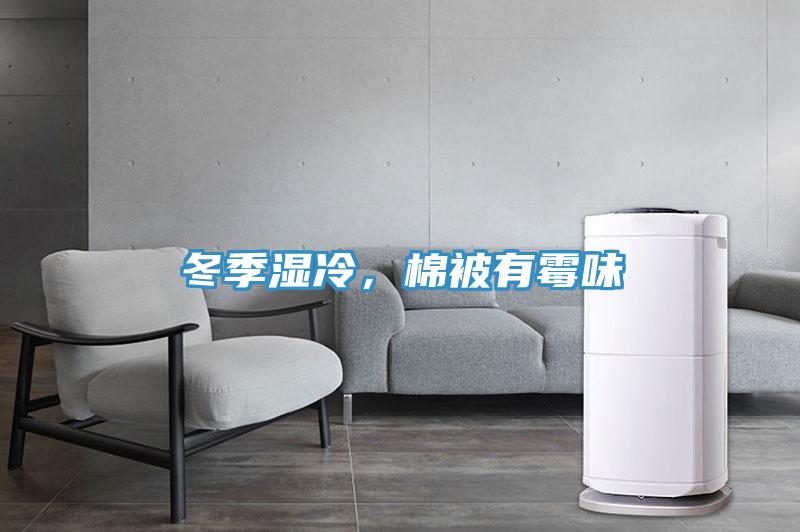 冬季濕冷，棉被有黴味