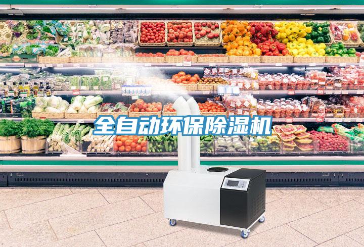 全自動環保91看片软件大全